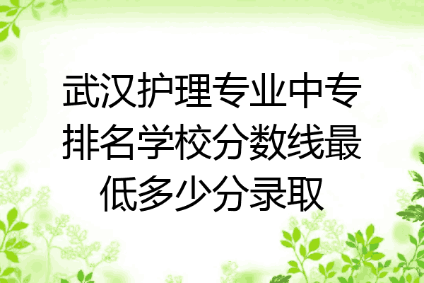 武汉护理专业中专排名学校分数线最低多少分录取