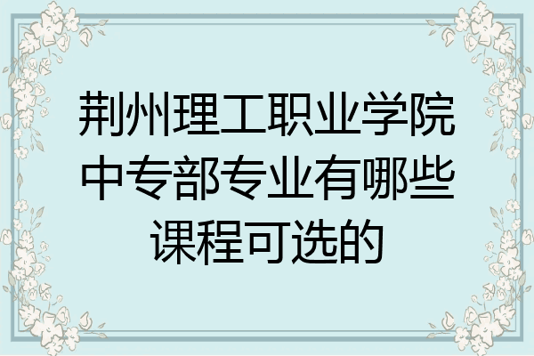 荆州理工职业学院中专部专业有哪些课程可选的