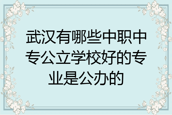 武汉有哪些中职中专公立学校好的专业是公办的