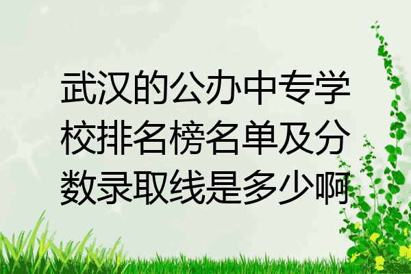 武汉的公办中专学校排名榜名单及分数录取线是多少啊