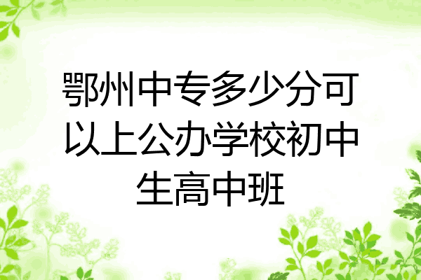 鄂州中专多少分可以上公办学校初中生高中班