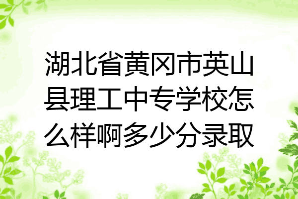 湖北省黄冈市英山县理工中专学校怎么样啊多少分录取