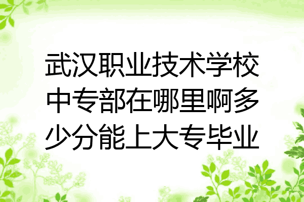 武汉职业技术学校中专部在哪里啊多少分能上大专毕业