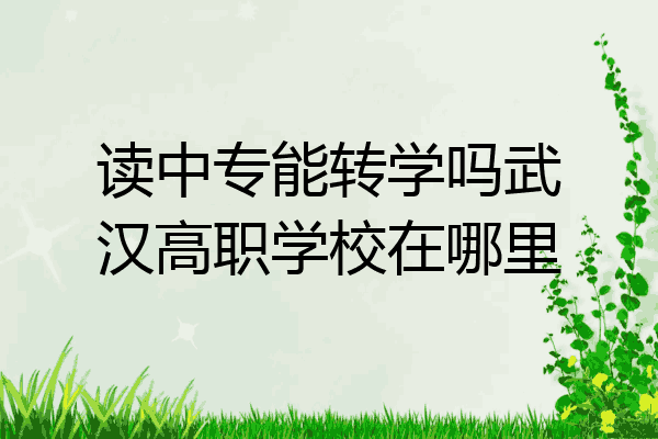 读中专能转学吗武汉高职学校在哪里