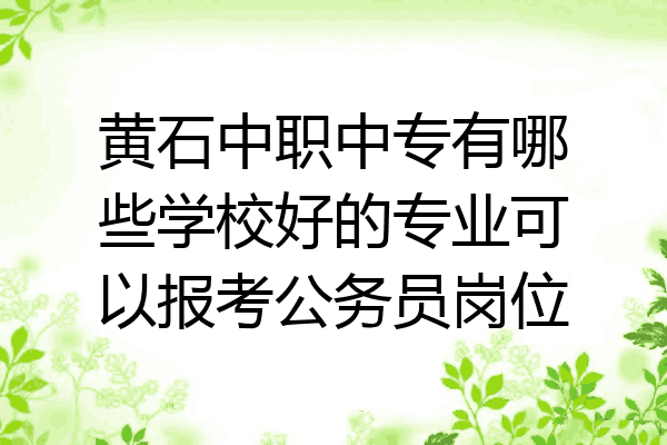 黄石中职中专有哪些学校好的专业可以报考公务员岗位
