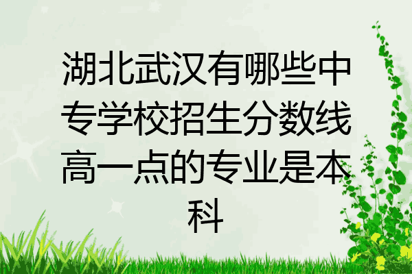 湖北武汉有哪些中专学校招生分数线高一点的专业是本科