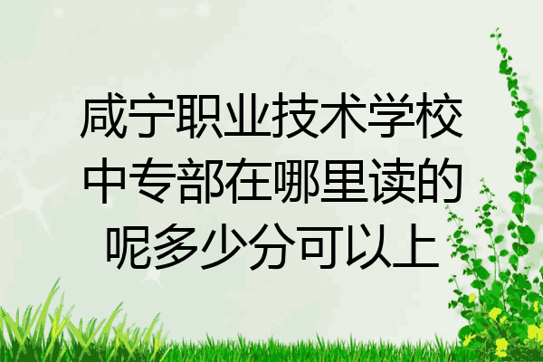 咸宁职业技术学校中专部在哪里读的呢多少分可以上