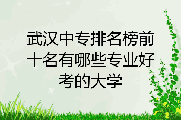 武汉中专排名榜前十名有哪些专业好考的大学