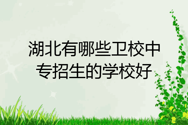 湖北有哪些卫校中专招生的学校好