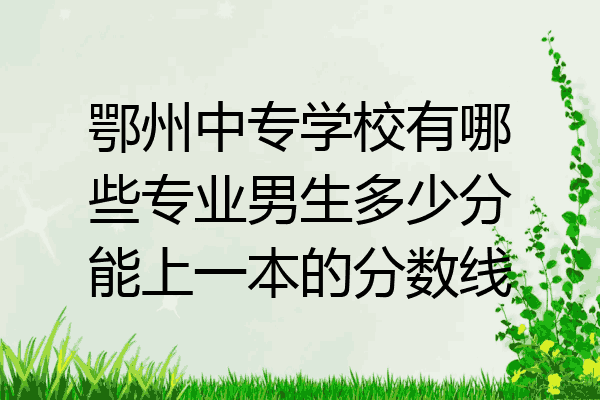 鄂州中专学校有哪些专业男生多少分能上一本的分数线