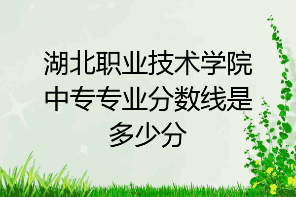 湖北职业技术学院中专专业分数线是多少分