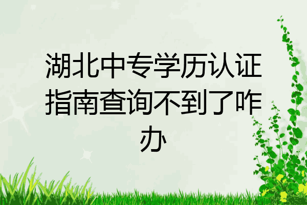 湖北中专学历认证指南查询不到了咋办