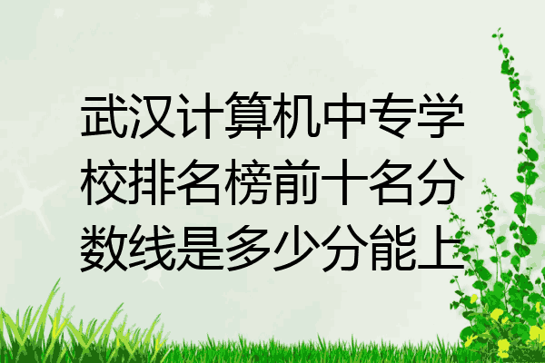 武汉计算机中专学校排名榜前十名分数线是多少分能上