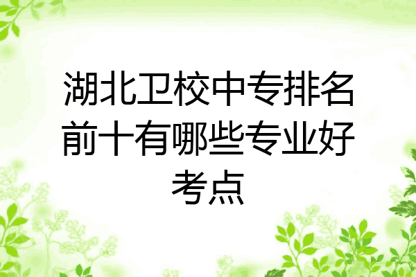 湖北卫校中专排名前十有哪些专业好考点