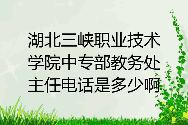 湖北三峡职业技术学院中专部教务处主任电话是多少啊