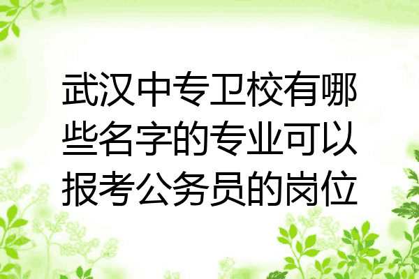 武汉中专卫校有哪些名字的专业可以报考公务员的岗位