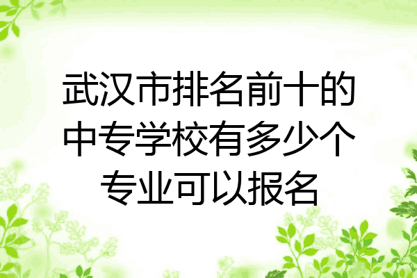 武汉市排名前十的中专学校有多少个专业可以报名