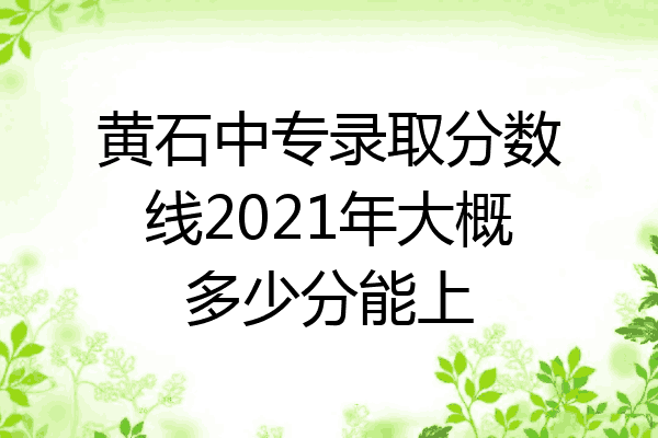 黄石中专录取分数线2021年大概多少分能上