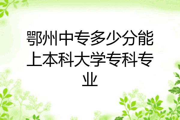 鄂州中专多少分能上本科大学专科专业
