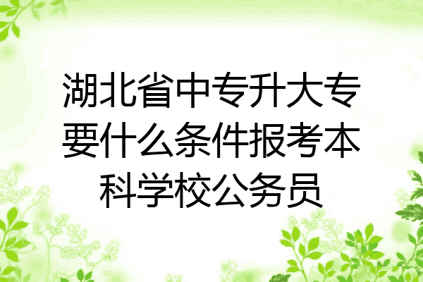 湖北省中专升大专要什么条件报考本科学校公务员