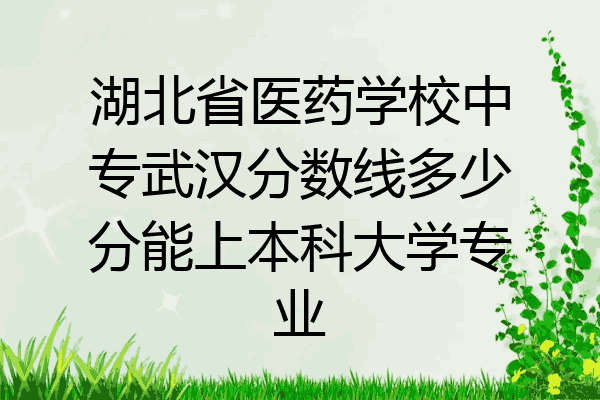 湖北省医药学校中专武汉分数线多少分能上本科大学专业