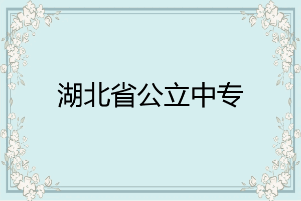 湖北省公立中专