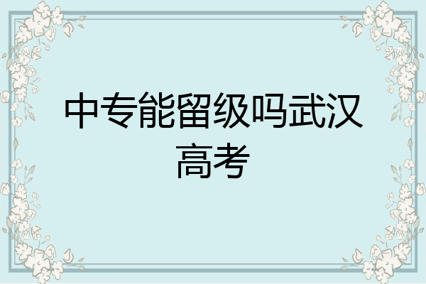 中专能留级吗武汉高考
