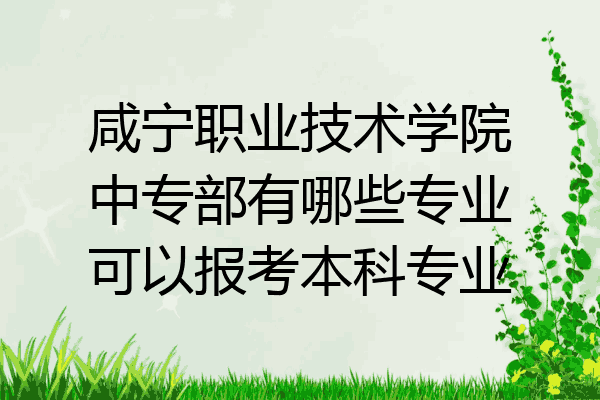 咸宁职业技术学院中专部有哪些专业可以报考本科专业
