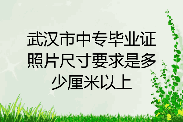 武汉市中专毕业证照片尺寸要求是多少厘米以上