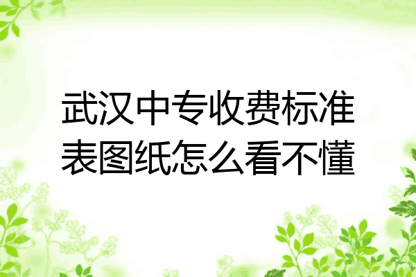 武汉中专收费标准表图纸怎么看不懂