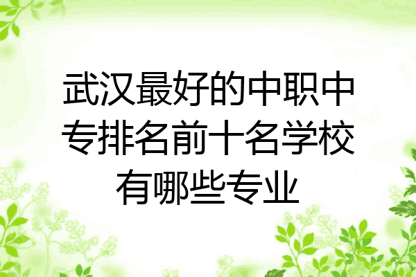 武汉最好的中职中专排名前十名学校有哪些专业
