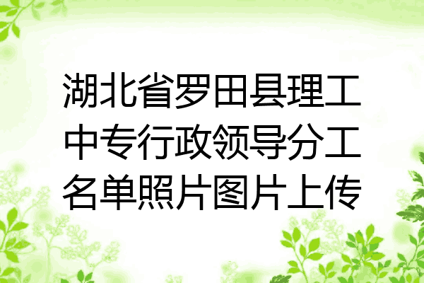 湖北省罗田县理工中专行政领导分工名单照片图片上传