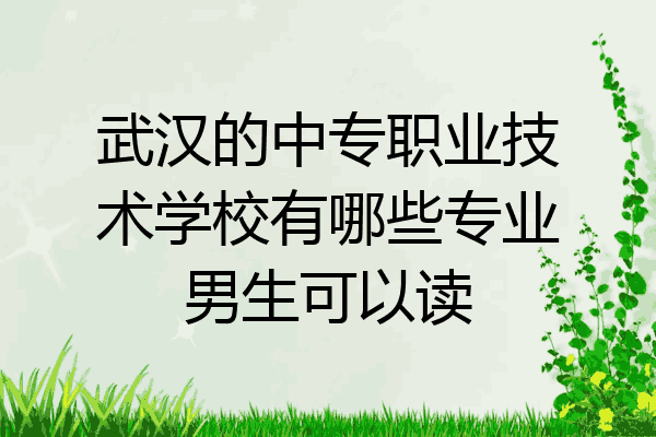 武汉的中专职业技术学校有哪些专业男生可以读