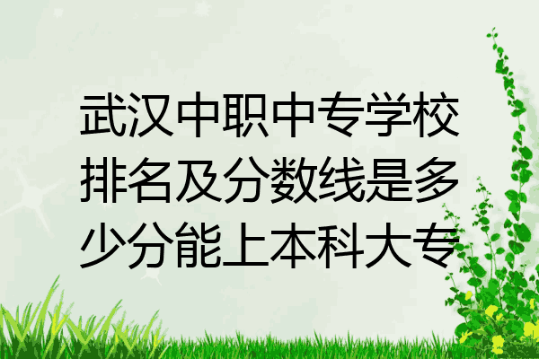 武汉中职中专学校排名及分数线是多少分能上本科大专
