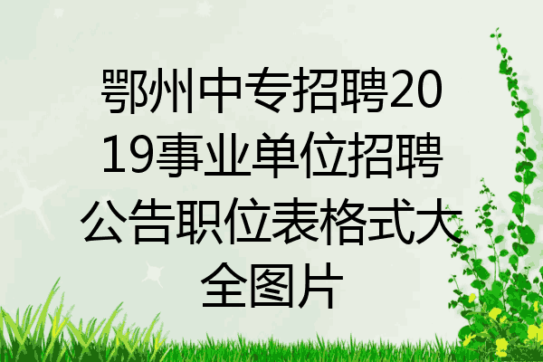 鄂州中专招聘2019事业单位招聘公告职位表格式大全图片