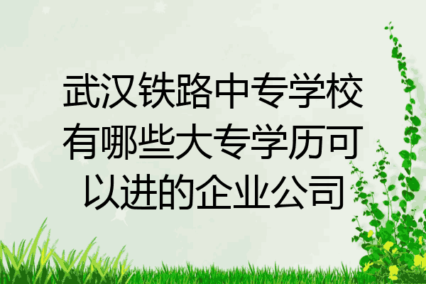 武汉铁路中专学校有哪些大专学历可以进的企业公司
