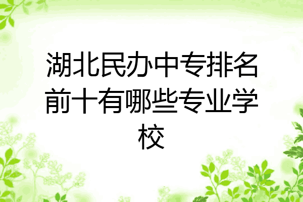 湖北民办中专排名前十有哪些专业学校