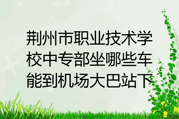荆州市职业技术学校中专部坐哪些车能到机场大巴站下