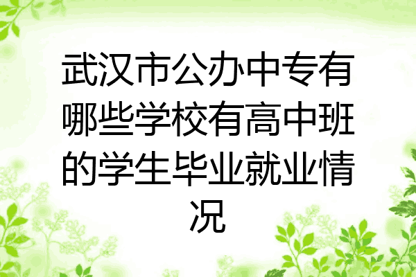 武汉市公办中专有哪些学校有高中班的学生毕业就业情况