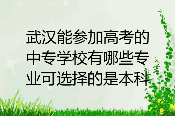 武汉能参加高考的中专学校有哪些专业可选择的是本科