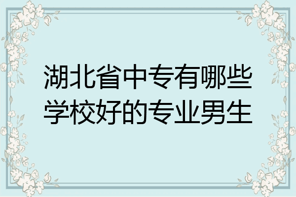 湖北省中专有哪些学校好的专业男生