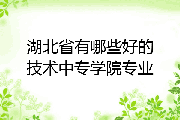 湖北省有哪些好的技术中专学院专业