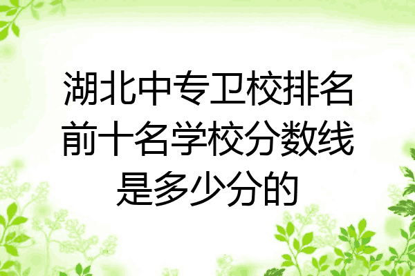 湖北中专卫校排名前十名学校分数线是多少分的