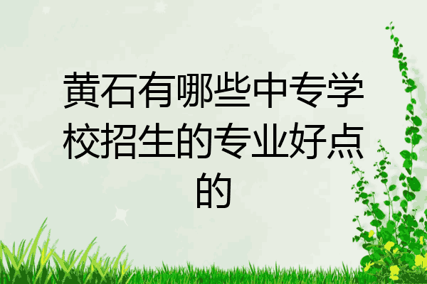 黄石有哪些中专学校招生的专业好点的