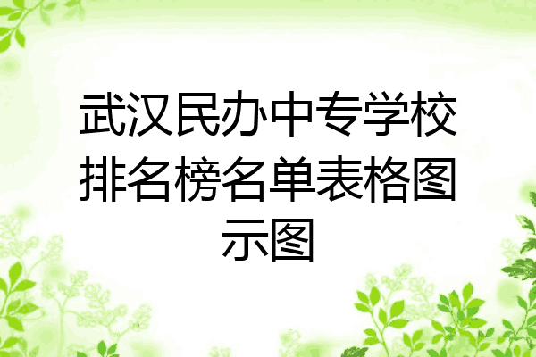 武汉民办中专学校排名榜名单表格图示图