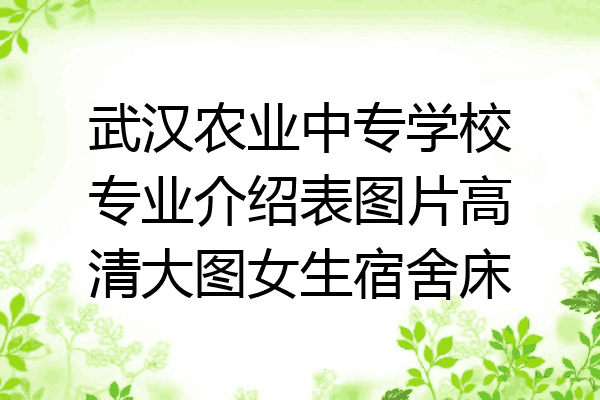 武汉农业中专学校专业介绍表图片高清大图女生宿舍床