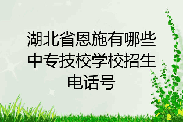 湖北省恩施有哪些中专技校学校招生电话号