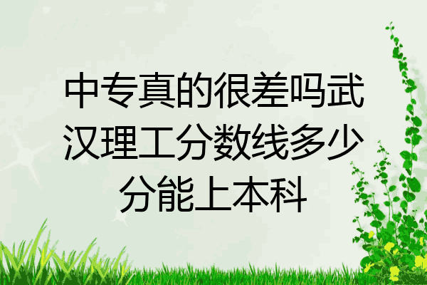 中专真的很差吗武汉理工分数线多少分能上本科
