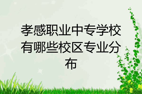 孝感职业中专学校有哪些校区专业分布