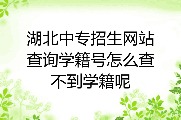 湖北中专招生网站查询学籍号怎么查不到学籍呢